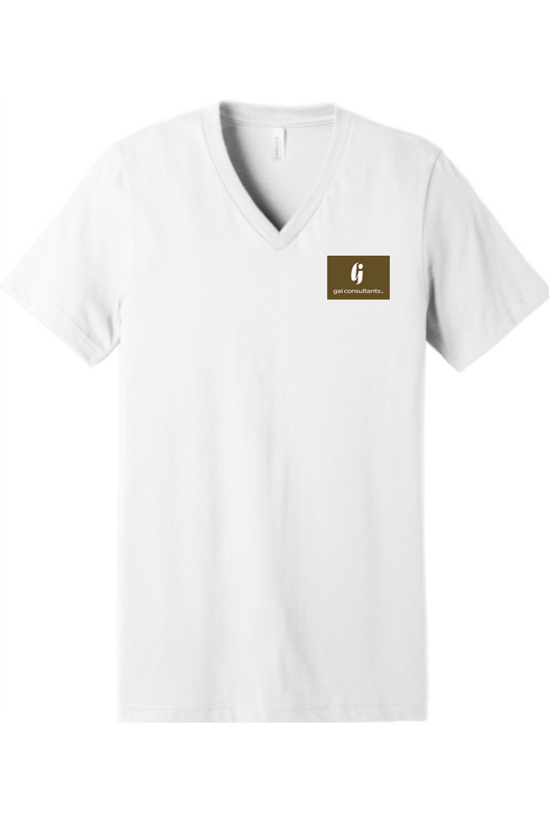 Bella + Canvas Unisex Jersey Short Sleeve V-Neck Tee – GAI Swag Store